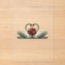 Cisnes Românticos Elegantes & Rosas Vermelhas - Di