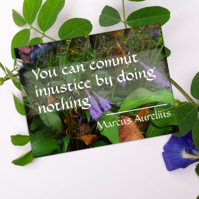 Citação da sabedoria latina sobre poster da justiç (Criador carregado)