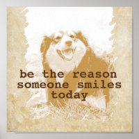 citação de poster motivadora com fotógrafos de cão