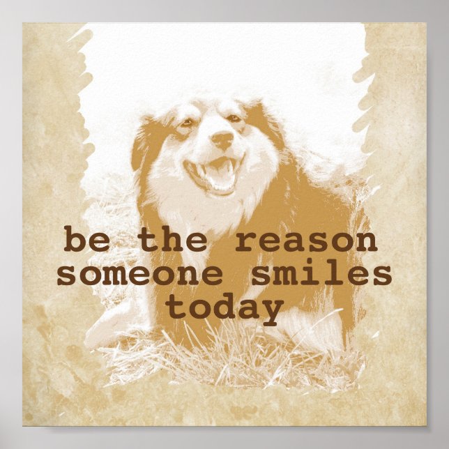 citação de poster motivadora com fotógrafos de cão (Frente)