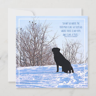 Citação Motivacional - Citação de Vida Inspira