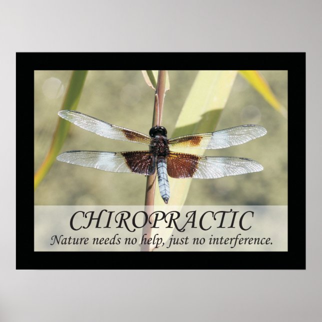 Citações Chiropracáticas e Ditos na Nature Poster (Frente)