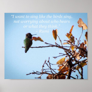 Citações de Rumi com poster do colibri