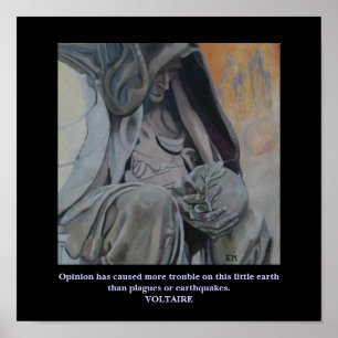 Citações de Voltaire - poster