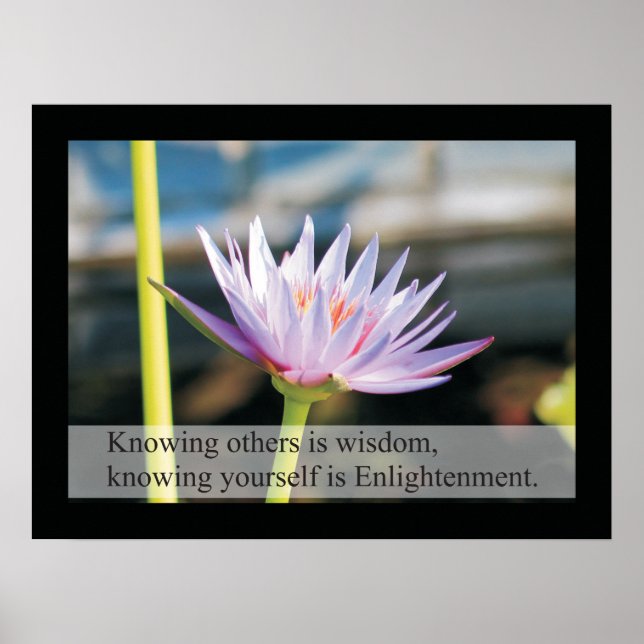 Citações e Ditos de Saúde Natural Poster Lao Tzu (Frente)