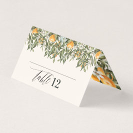 Citrus orange botânica moderna, cartão de sítio rú