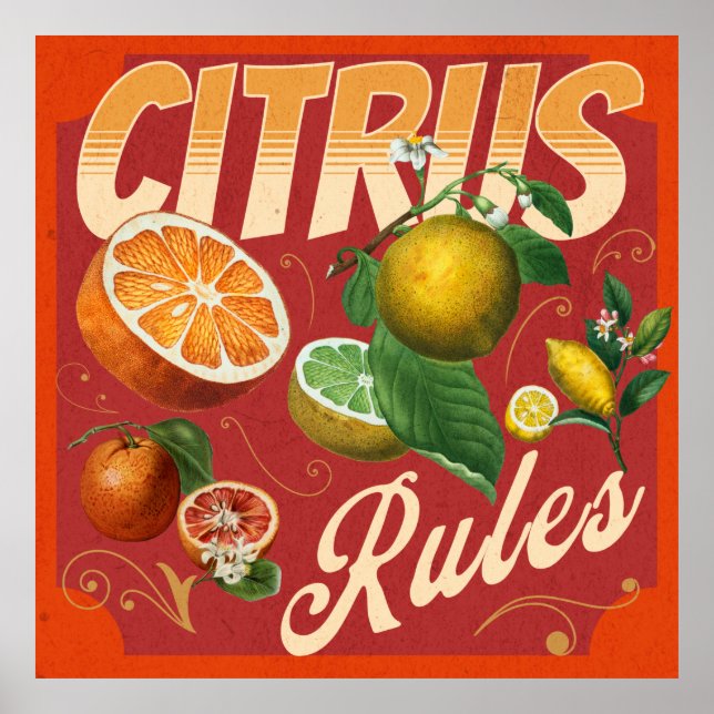 Citrus Vintage retro poster (Frente)