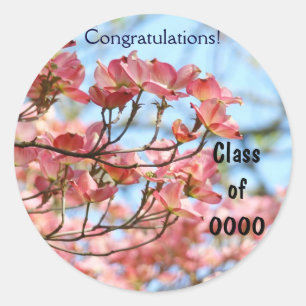 Classe de graduação Parabéns de autocolantes Forma