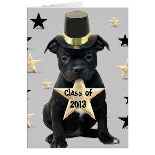 Classe do cartão 2013 de Staffordshire bull