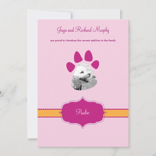 "Clássico" Novo Cupão/Garota de Anúncio de Gato (Frente)