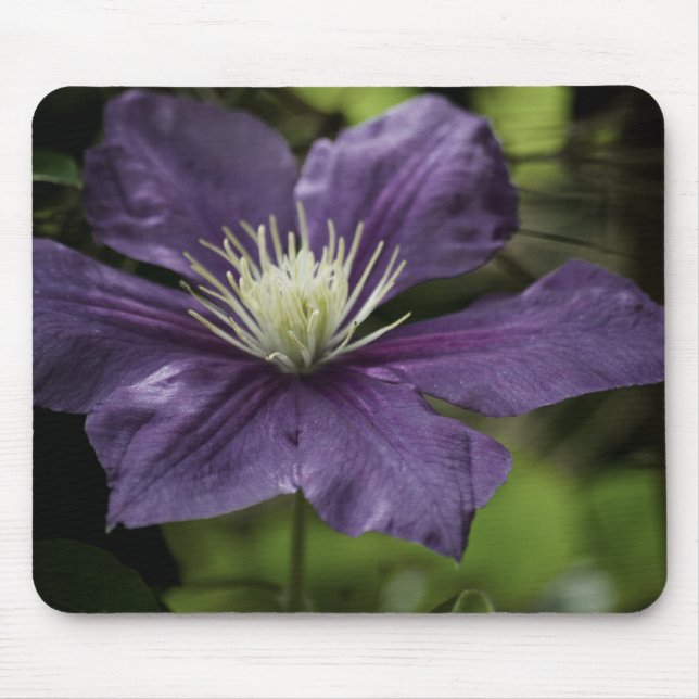 Clematis 8510 Mousepad (Frente)