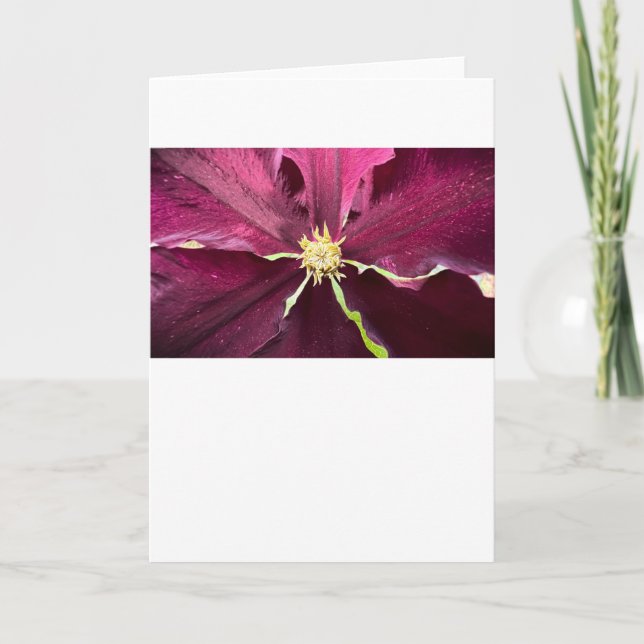 Clematis, Cartão (Frente)