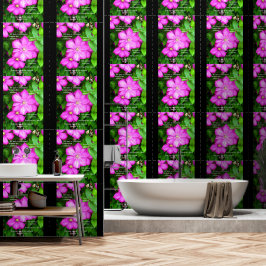 Clematis com romanos 5:3-5