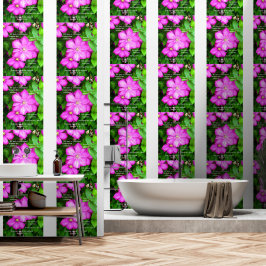 Clematis com romanos 5:3-5