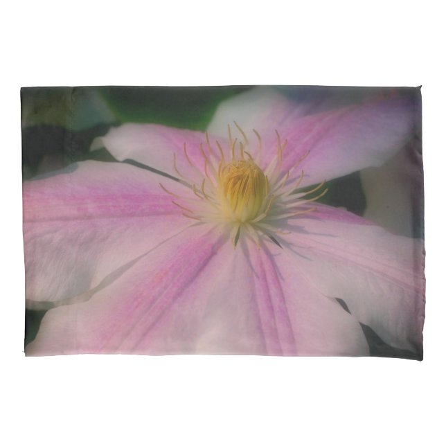 Clematis Flower Pets para Cima Próximo (Frente)