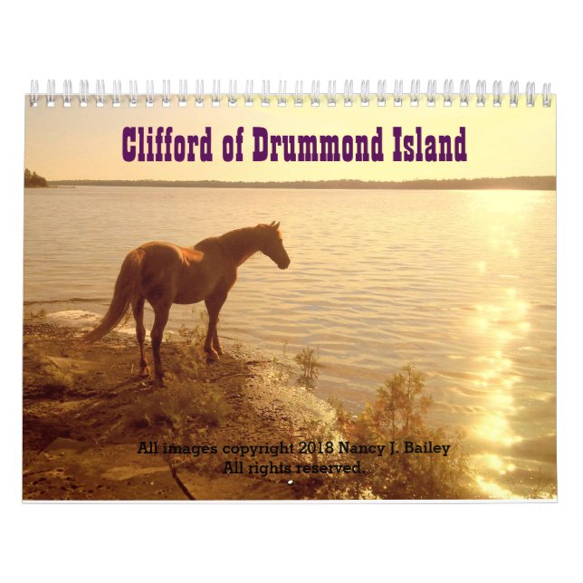 Clifford 2019 o calendário de parede do cavalo de (Capa)