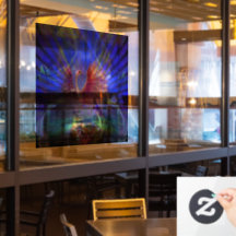 Cling da janela da Ascensão Phoenix