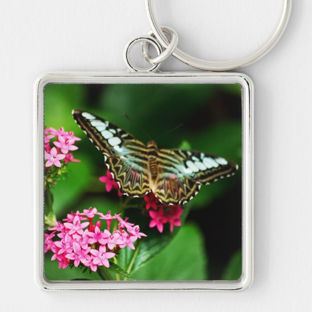 Clipper em Pentas 1 Chaveiro (Frente)