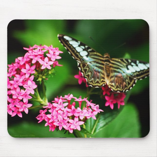 Clipper em Pentas 1 Mousepad (Frente)