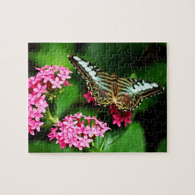 Clipper em Pentas 1 Quebra-cabeça (Horizontal)