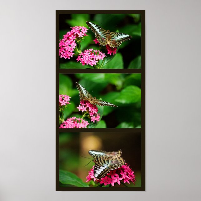 Clipper em Pentas (Retrato) Impressão (Frente)