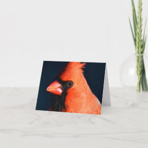 "Close" (Cardinal) - Cartão de Nota de Vazio