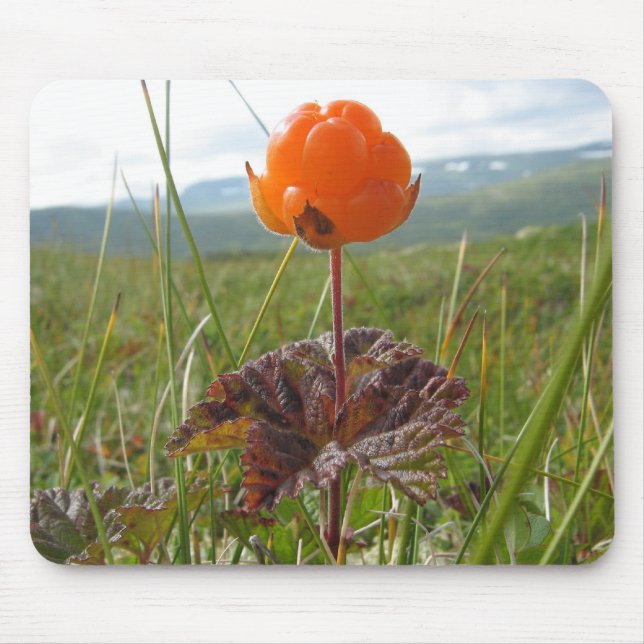 Cloudberry Mousepad (Frente)