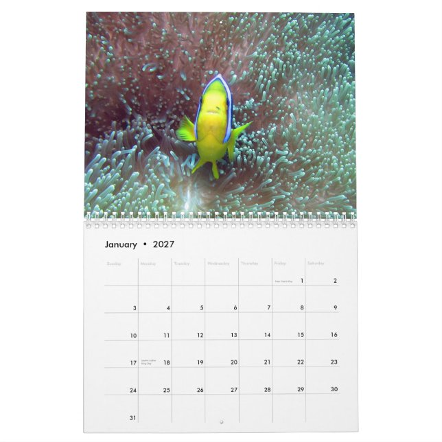 Clownfish do calendário de Fiji 2015 (Jan 2027)