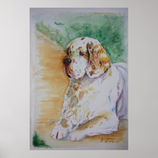 Clumber Spaniel - Meu Impressão de Amigo