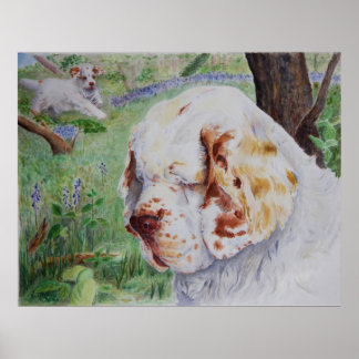 Clumber Spaniel - Primavera Woodland impressão