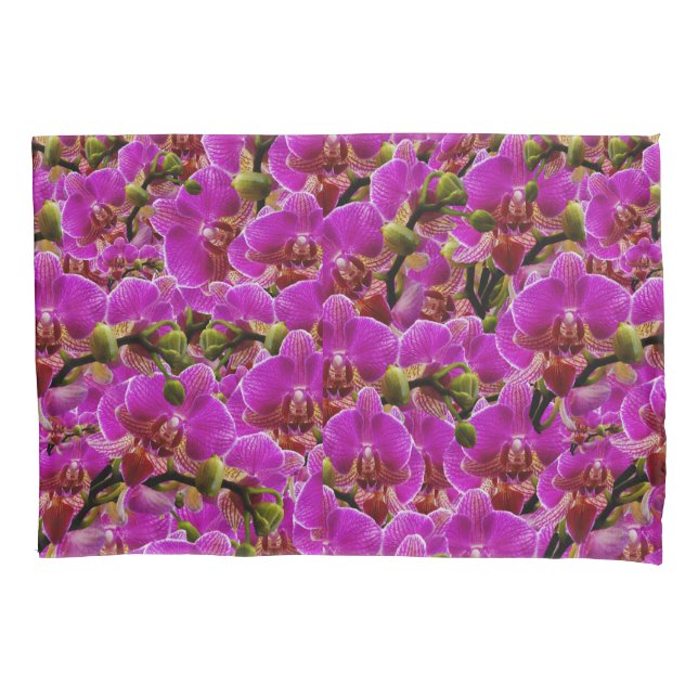 Clusters Radiantes: A Sinfonia Orquídea Magenta, (Frente)