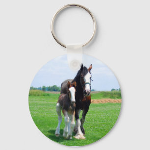 Clydesdale e chaveiro do potro
