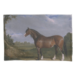 Clydesdale Stallion (Cavalo de raça pura) (Animal)