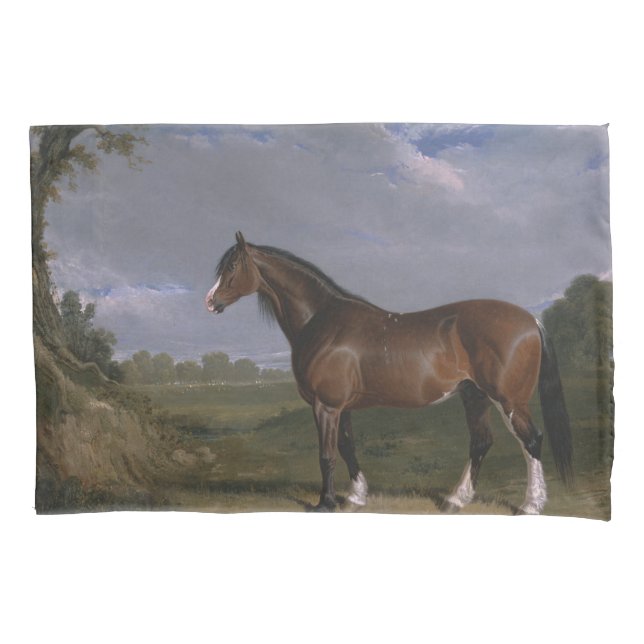 Clydesdale Stallion (Cavalo de raça pura) (Animal) (Frente-Esquerda)