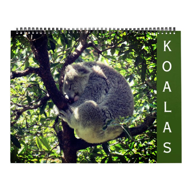 coalas 2027 calendário grande (Capa)