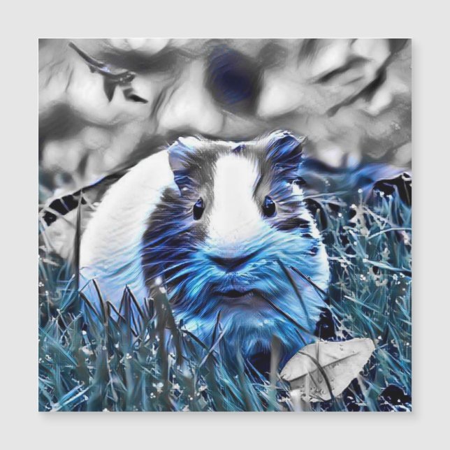 cobaia azul (Frente)