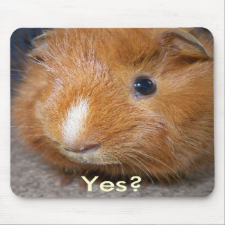 Cobaia Mousepad