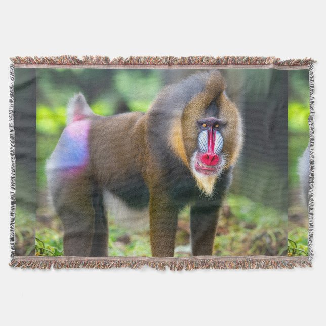 Cobertor A vida selvagem de África (The highlight is its vibrant facial features and expressive eyes.)