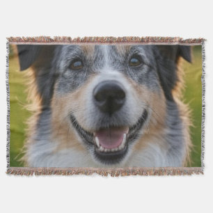 Cobertor Adicionar Foto Pet Personalizar