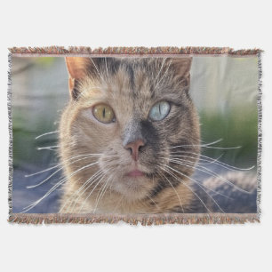 Cobertor Adicionar Personalização de Foto de Cat