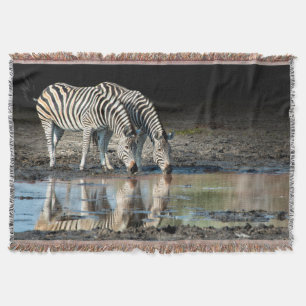 Cobertor África, Botsuana, Delta do Okavango, Davison Camp
