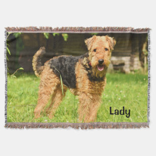 Cobertor Airedale Terrier Puppy Dog