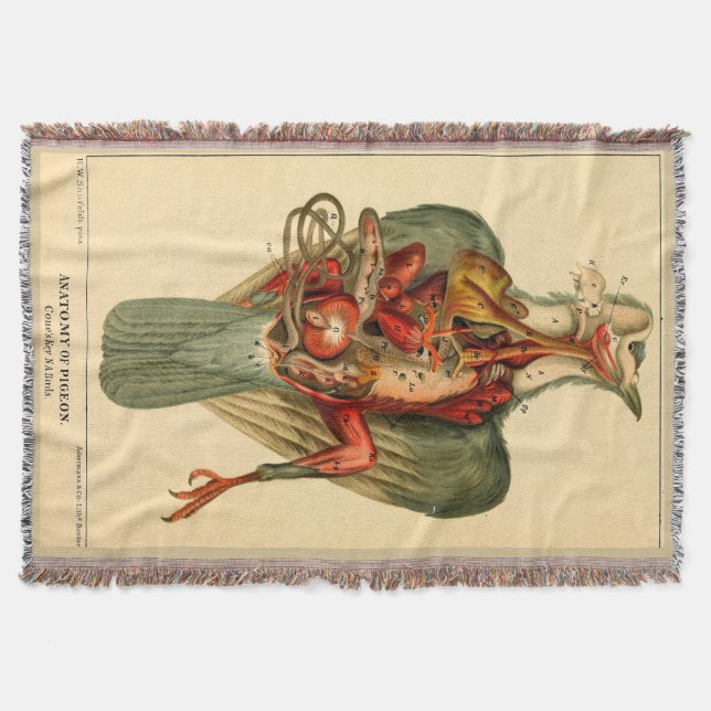 Cobertor Anatomia de um Pombo (Frente)