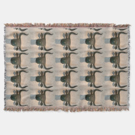 Cobertor Ancient Bull