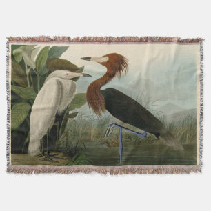 Cobertor Arte de Pássaro: Gravura do Garça Roxa de Audubon: