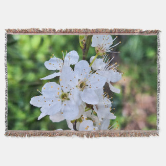 Cobertor Árvore em Flor na Primavera Romênia – Fotografia d