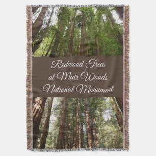 Cobertor Até Sequoias Eu no Monumento Nacional de Muir Wood