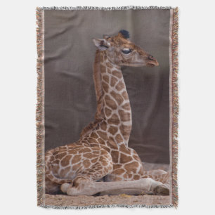 Cobertor Baby Giraffe Throw Blanket
