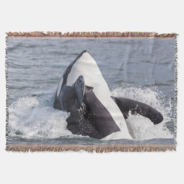 Cobertor Baleia Orca saltando (Frente)