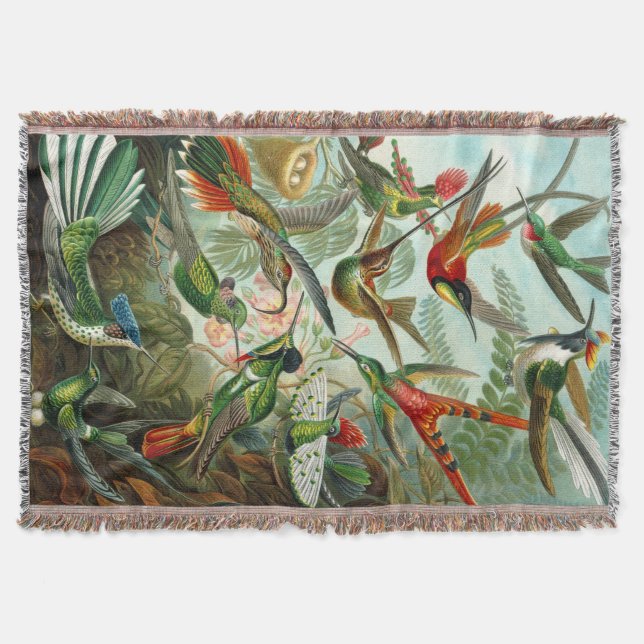 Cobertor Beija-flores de Ernst Haeckel (Frente)